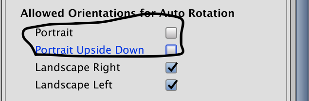 この2箇所のチェックを外す。これが残っていると画面が回転して快適にプレイできない。
